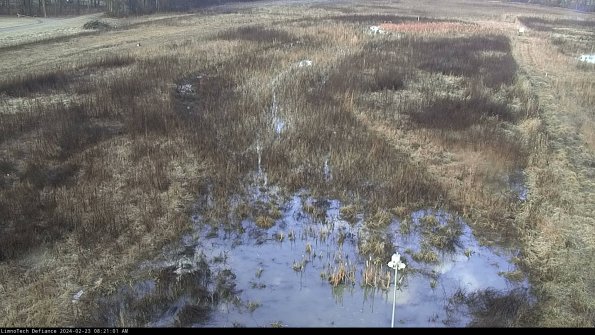 Cell 1_24-02-23_08-21-01-93