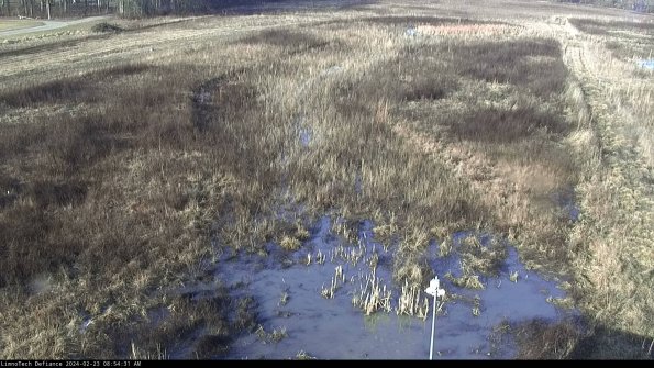 Cell 1_24-02-23_08-54-31-91