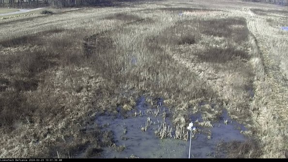 Cell 1_24-02-23_10-01-30-91