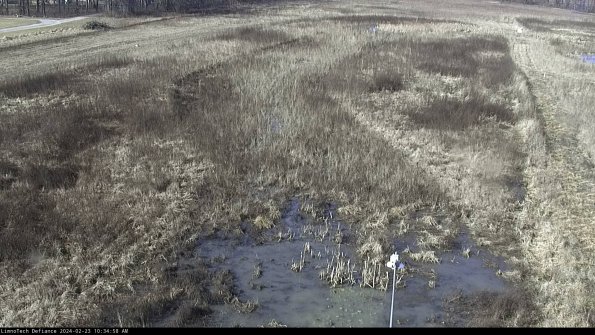 Cell 1_24-02-23_10-34-58-93