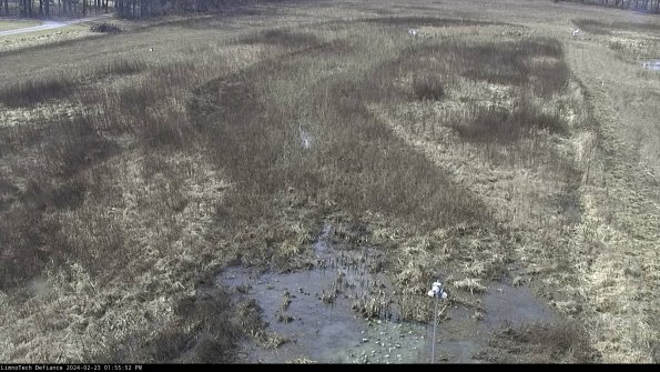 Cell 1_24-02-23_13-55-52-94