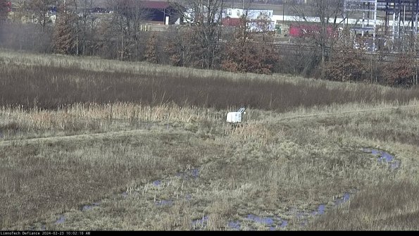 Cell 2 to 3_24-02-23_10-02-10-99