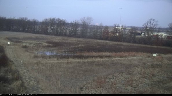 Cell 2_24-02-23_07-14-29-96