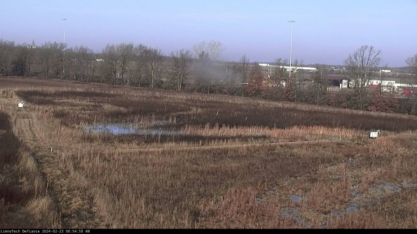 Cell 2_24-02-23_08-54-58-94