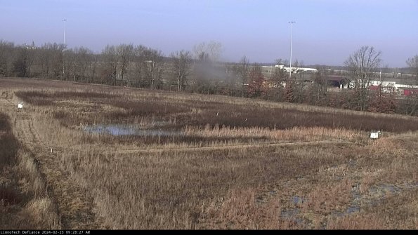 Cell 2_24-02-23_09-28-27-96