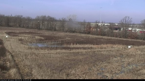 Cell 2_24-02-23_10-35-25-95