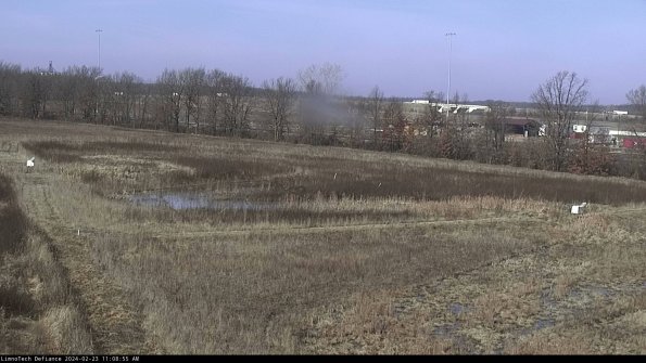 Cell 2_24-02-23_11-08-55-97