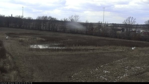 Cell 2_24-02-23_15-03-19-94