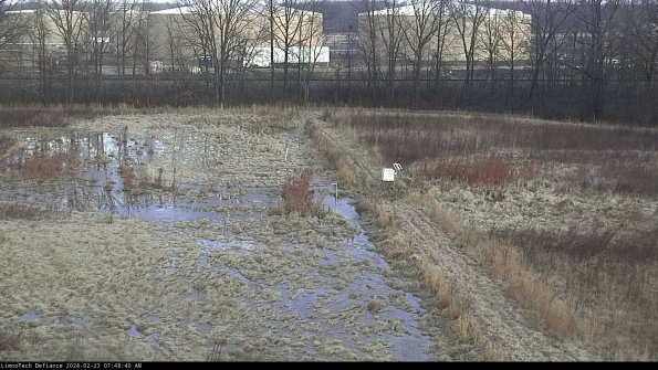 Cell 3 to 4_24-02-23_07-48-40-92