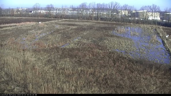 Cell 3_24-02-23_08-55-26-94