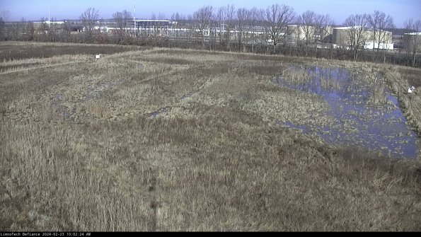 Cell 3_24-02-23_10-02-25-20