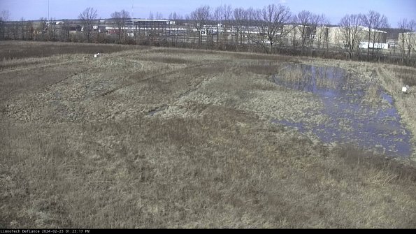 Cell 3_24-02-23_13-23-17-91