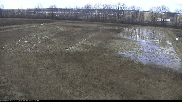 Cell 3_24-02-23_15-03-47-13