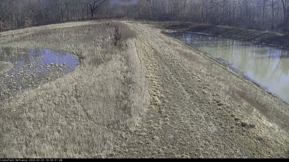 Cell 4 to Basin_24-02-23_10-36-51-94