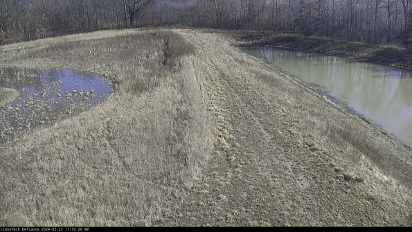 Cell 4 to Basin_24-02-23_11-10-20-93