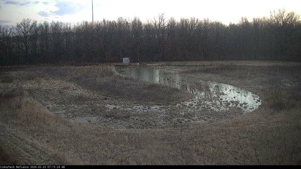 Cell 4_24-02-23_07-15-24-92