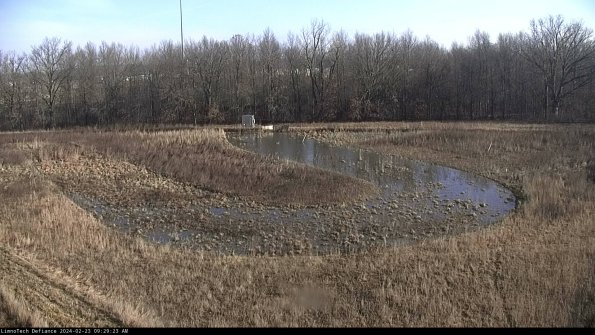 Cell 4_24-02-23_09-29-23-95