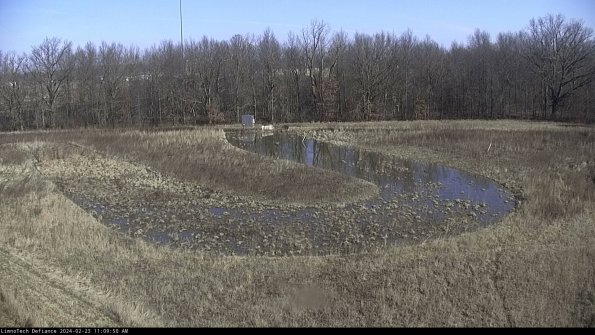 Cell 4_24-02-23_11-09-50-93