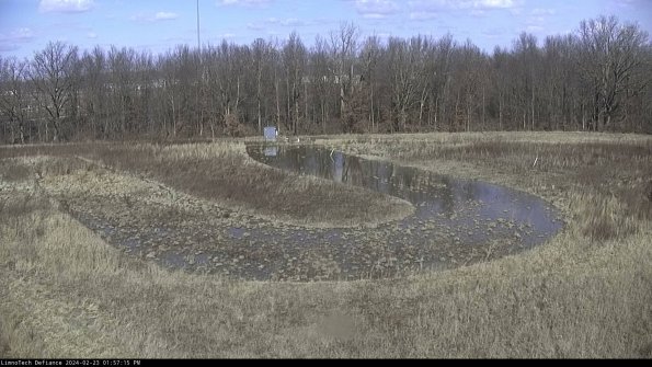 Cell 4_24-02-23_13-57-15-92