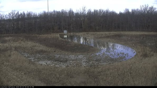 Cell 4_24-02-23_15-04-14-92