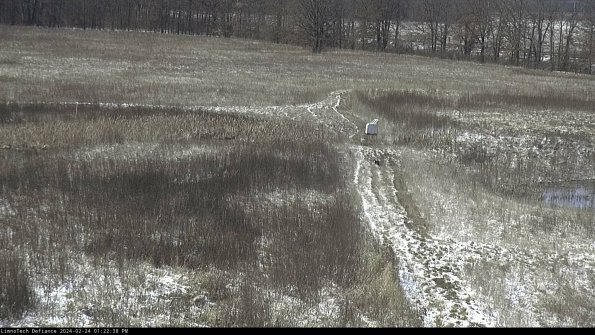 Cell 1 to 2_24-02-24_13-22-38-92