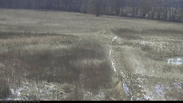 Cell 1 to 2_24-02-24_16-10-07-90