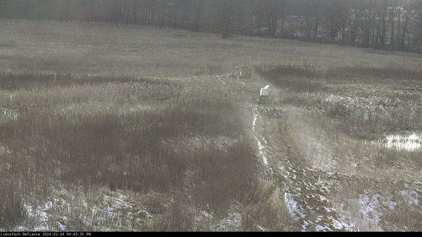 Cell 1 to 2_24-02-24_16-43-35-95