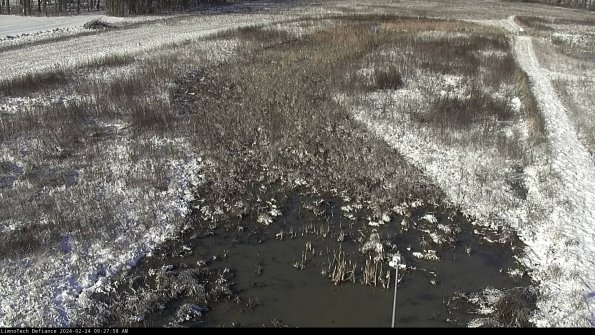 Cell 1_24-02-24_09-27-58-92