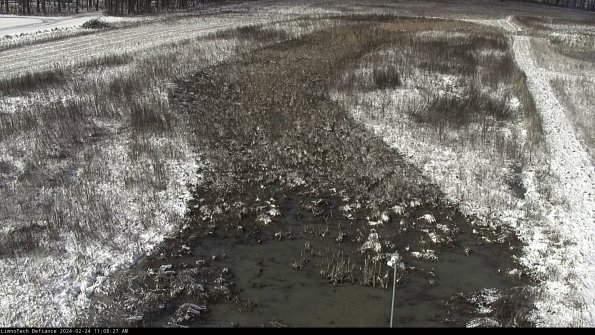 Cell 1_24-02-24_11-08-27-94