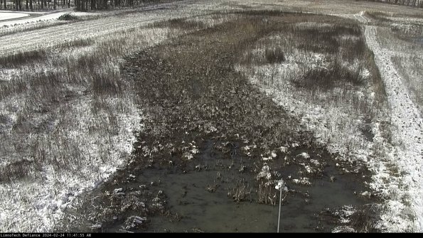 Cell 1_24-02-24_11-41-55-92