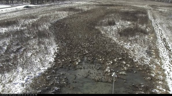 Cell 1_24-02-24_13-22-24-91