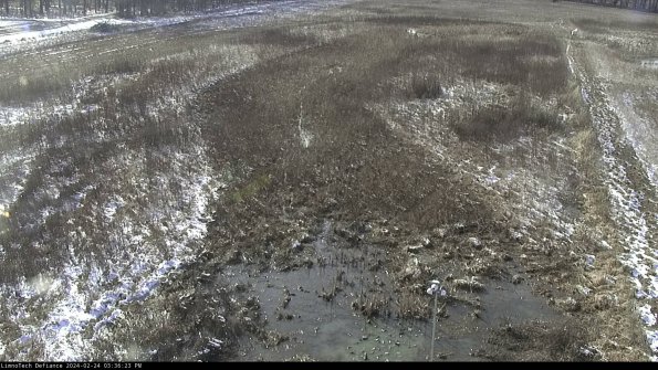 Cell 1_24-02-24_15-36-23-94