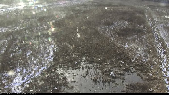 Cell 1_24-02-24_16-43-21-90