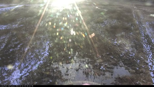 Cell 1_24-02-24_17-50-20-90