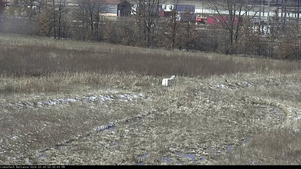 Cell 2 to 3_24-02-24_14-30-04-01