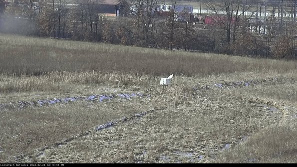 Cell 2 to 3_24-02-24_16-10-33-96