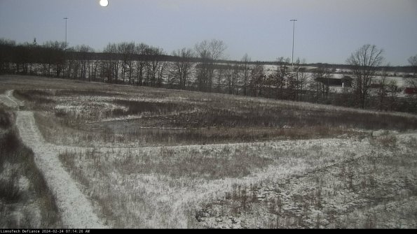 Cell 2_24-02-24_07-14-26-97