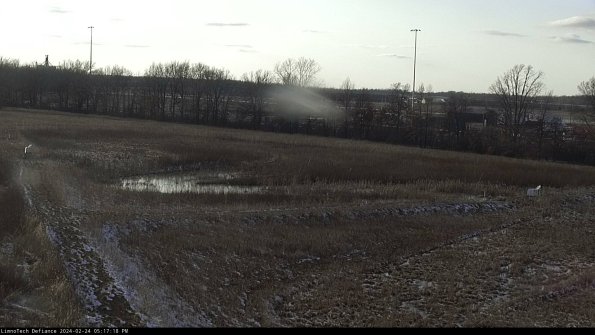 Cell 2_24-02-24_17-17-18-94