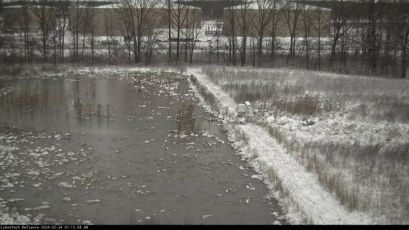 Cell 3 to 4_24-02-24_07-15-08-91