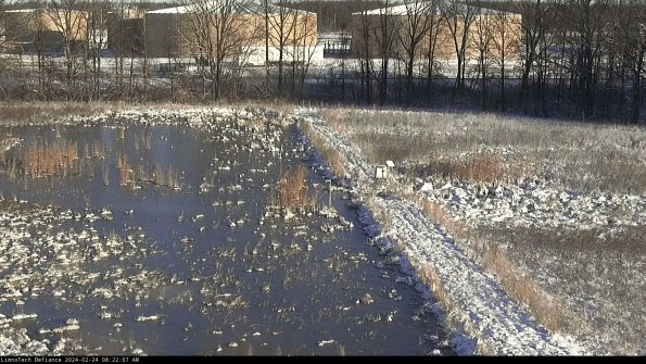 Cell 3 to 4_24-02-24_08-22-07-93