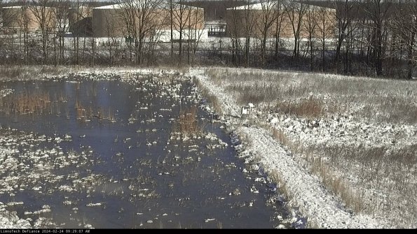 Cell 3 to 4_24-02-24_09-29-07-93