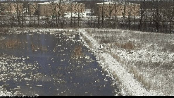 Cell 3 to 4_24-02-24_10-36-06-92