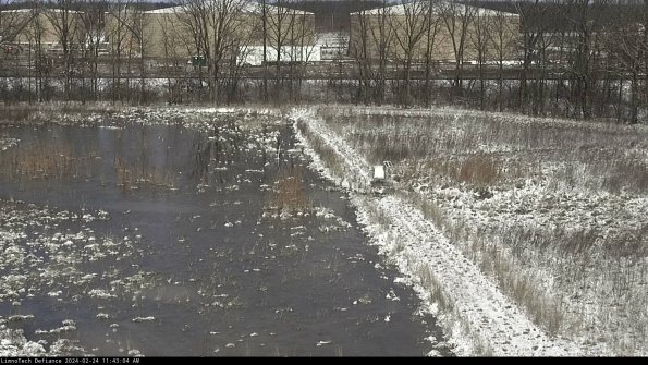 Cell 3 to 4_24-02-24_11-43-04-93