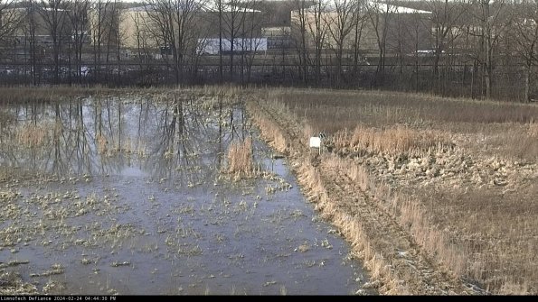 Cell 3 to 4_24-02-24_16-44-30-90