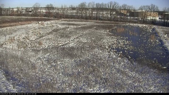 Cell 3_24-02-24_08-21-53-92