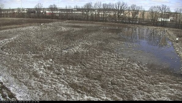 Cell 3_24-02-24_13-23-19-93