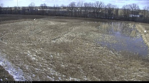 Cell 3_24-02-24_15-03-48-94