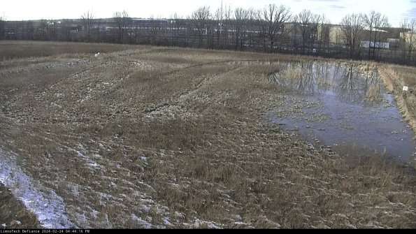 Cell 3_24-02-24_16-44-16-92