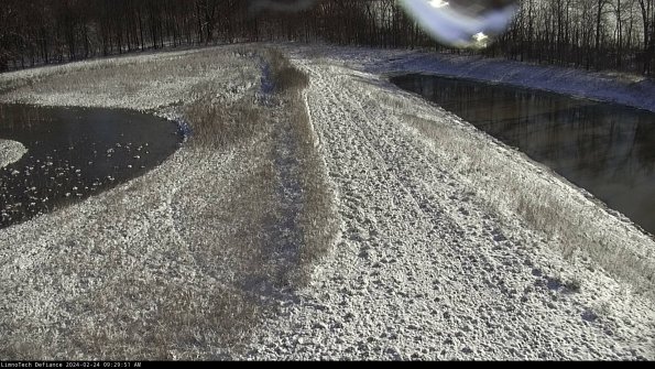 Cell 4 to Basin_24-02-24_09-29-51-94