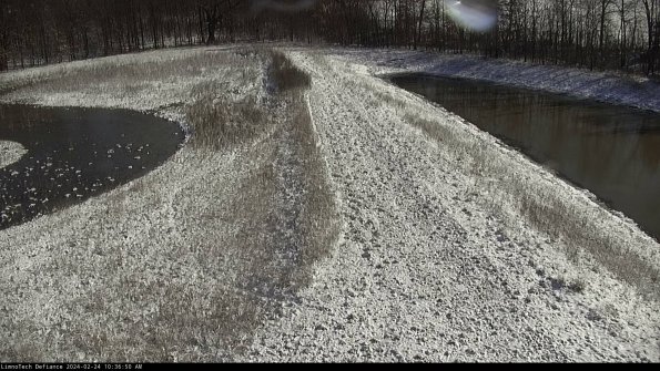 Cell 4 to Basin_24-02-24_10-36-50-93